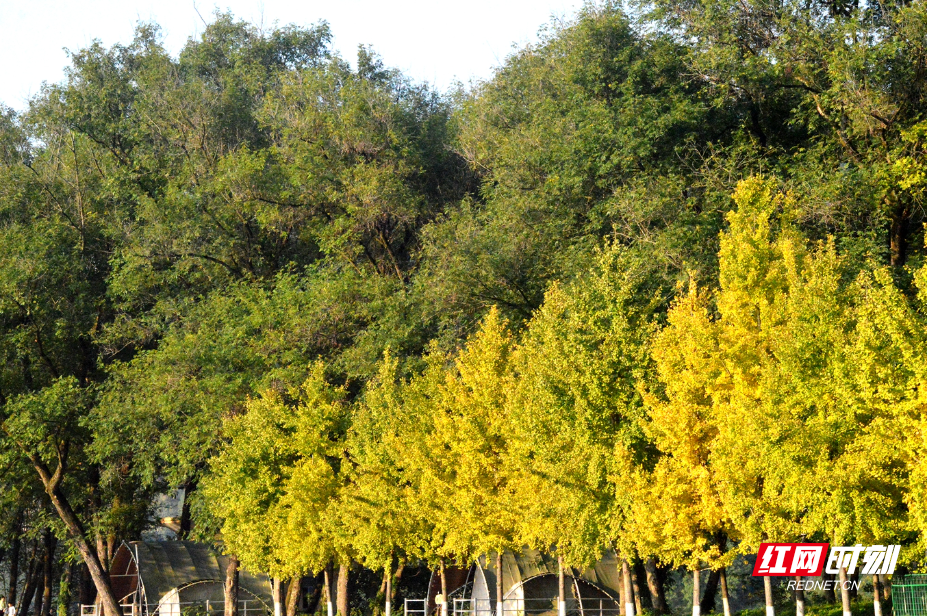 DSC_3260.JPG DSC_3260.JPG