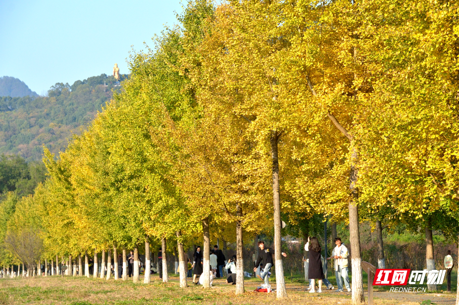 DSC_3232.JPG DSC_3232.JPG