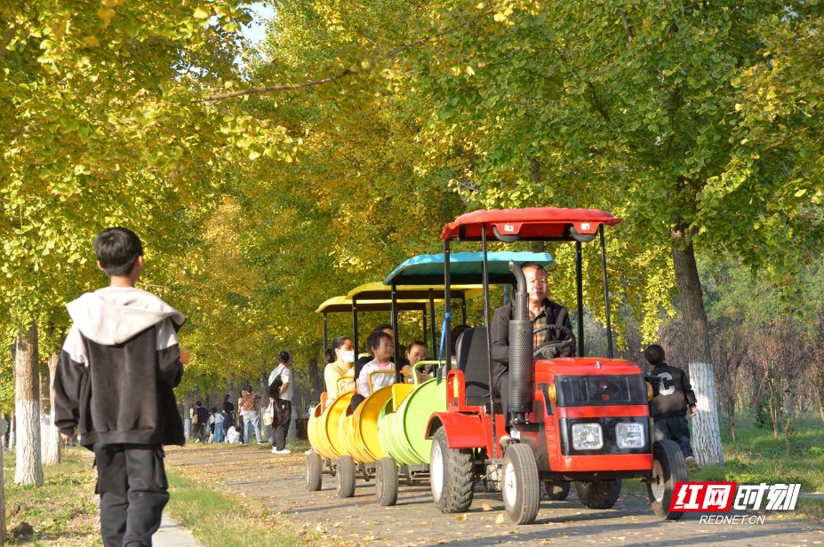 DSC_3237.JPG DSC_3237.JPG