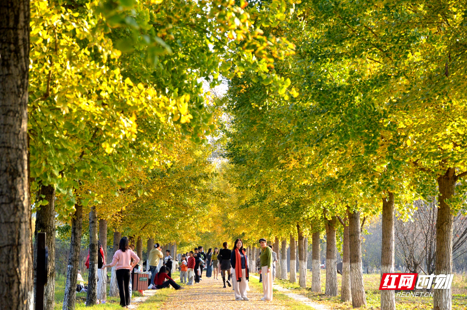 DSC_3255.JPG DSC_3255.JPG