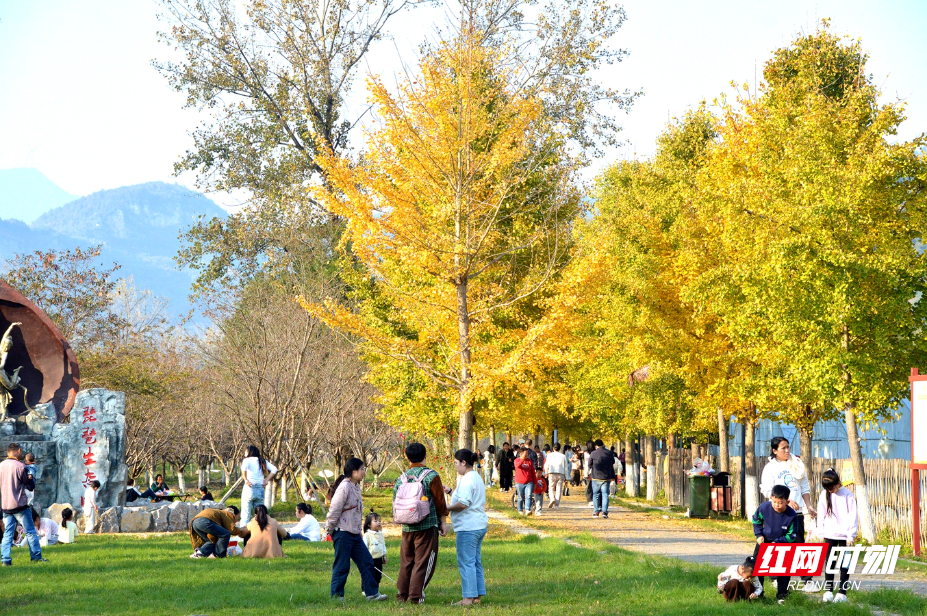 DSC_3217.JPG DSC_3217.JPG