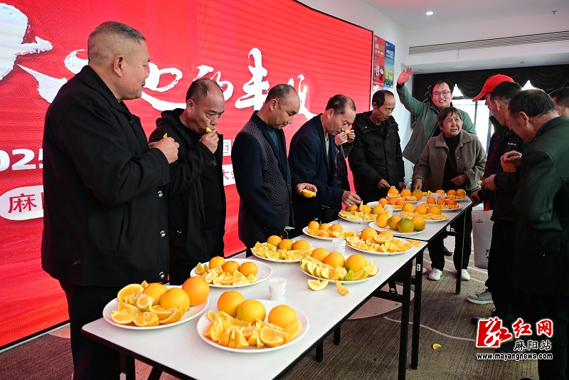 微信图片_20251116165009.jpg 微信图片_20251116165009.jpg