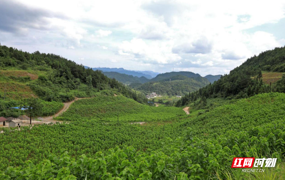 微信图片_20251116205119_216_21.jpg 微信图片_20251116205119_216_21.jpg