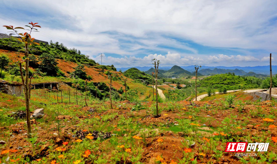 微信图片_20251116211023_85_70.jpg 微信图片_20251116211023_85_70.jpg