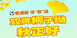 看湘超、寻“杏”运！双牌桐子坳秋正好