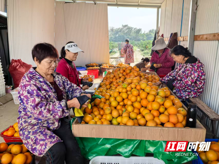 微信图片_20251117150535_919_31.jpg 微信图片_20251117150535_919_31.jpg