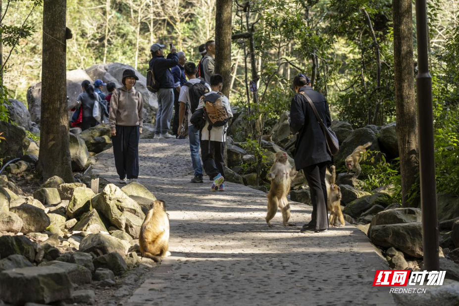 图片3.jpg 图片3.jpg