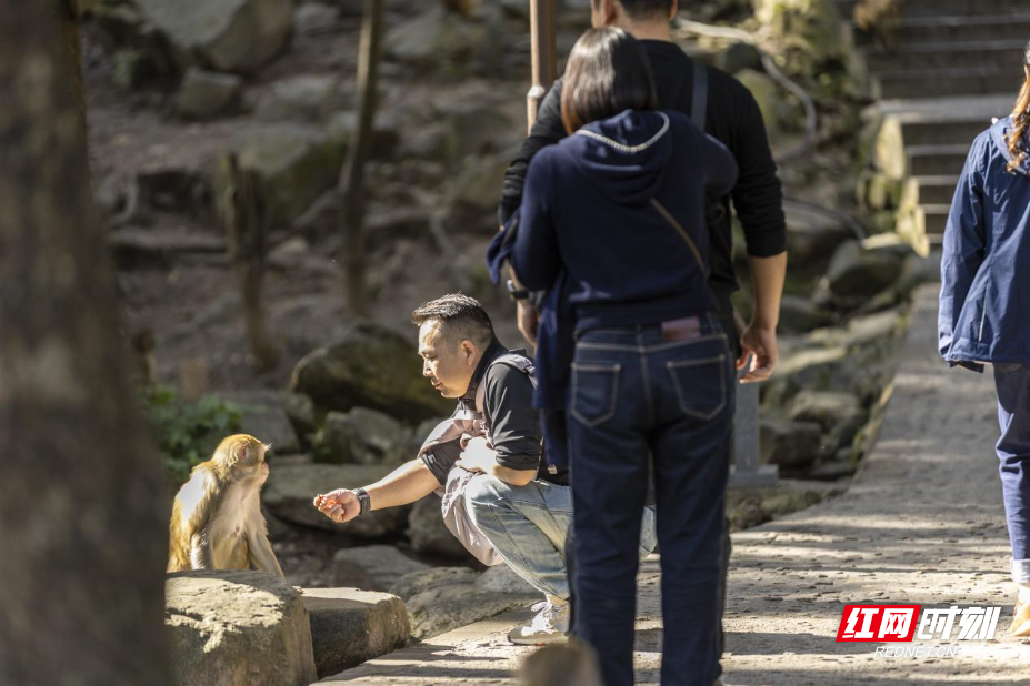 图片4.jpg 图片4.jpg