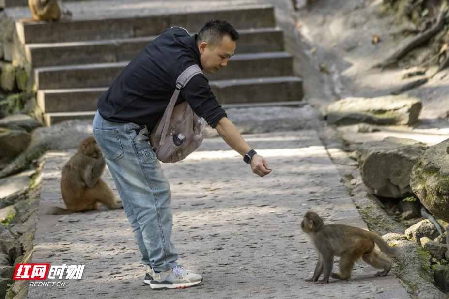 图片2.jpg 图片2.jpg