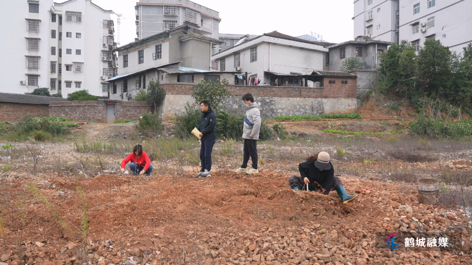 城中街道梨园路社区开展秸秆焚烧巡查行动.mp4_20251117_162903.237.jpg 城中街道梨园路社区开展秸秆焚烧巡查行动.mp4_20251117_162903.237.jpg