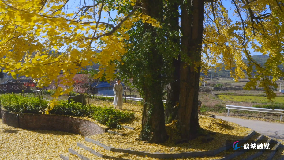 黄岩大坪村:古银杏披金迎冬 小众秘境引客来.mp4_20251117_163549.372.jpg 黄岩大坪村:古银杏披金迎冬 小众秘境引客来.mp4_20251117_163549.372.jpg