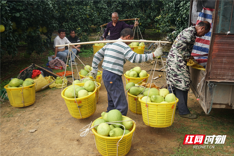 441_副本.png 441_副本.png