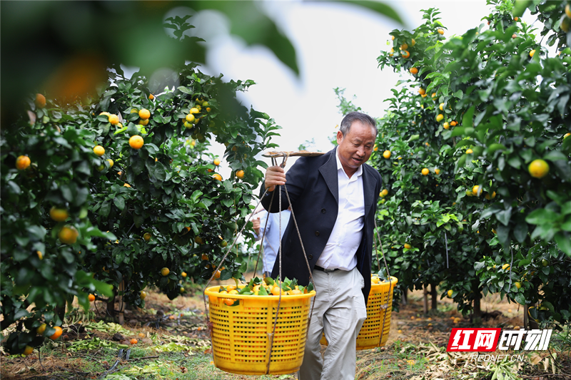 442_副本.png 442_副本.png