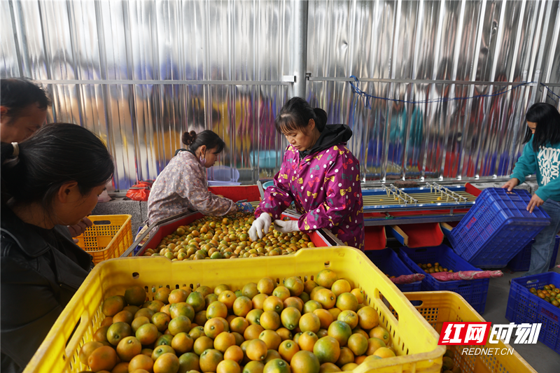 443_副本.png 443_副本.png