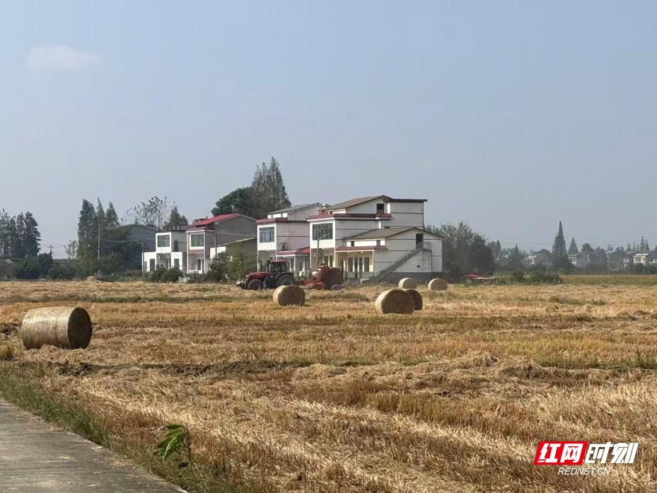 图片8.png 图片8.png