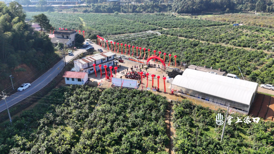 微信图片_20251115140045_1436_1.jpg 微信图片_20251115140045_1436_1.jpg