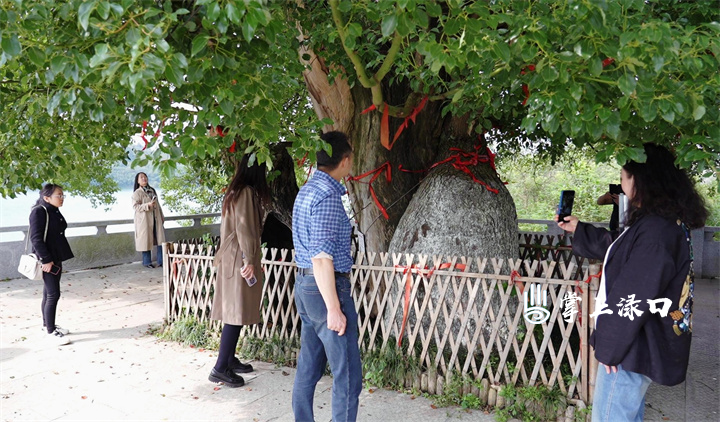 微信图片_20251117153006_2227_6.jpg 微信图片_20251117153006_2227_6.jpg