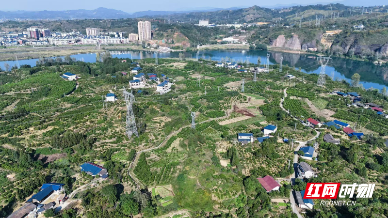 微信图片_20251117071847_412_364.jpg 微信图片_20251117071847_412_364.jpg