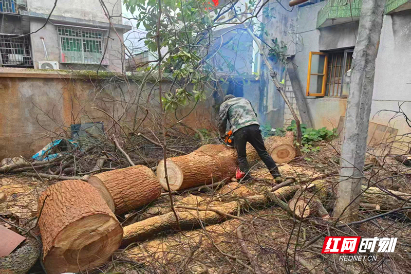 微信图片_20251115105315.jpg 微信图片_20251115105315.jpg