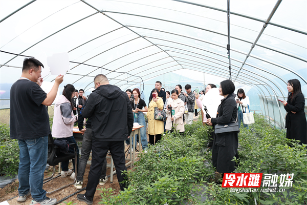 图片A21.png 图片A21.png