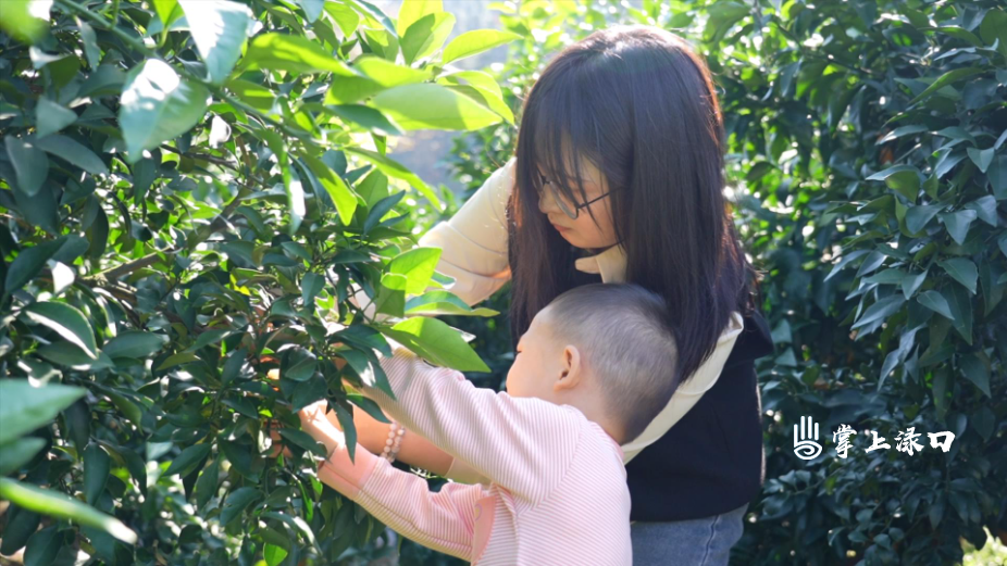 微信图片_20251115140215_1439_1.jpg 微信图片_20251115140215_1439_1.jpg