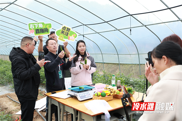 图片A1.png 图片A1.png