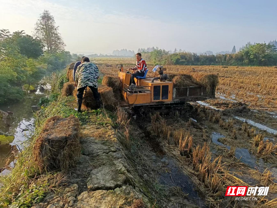 图片7.png 图片7.png