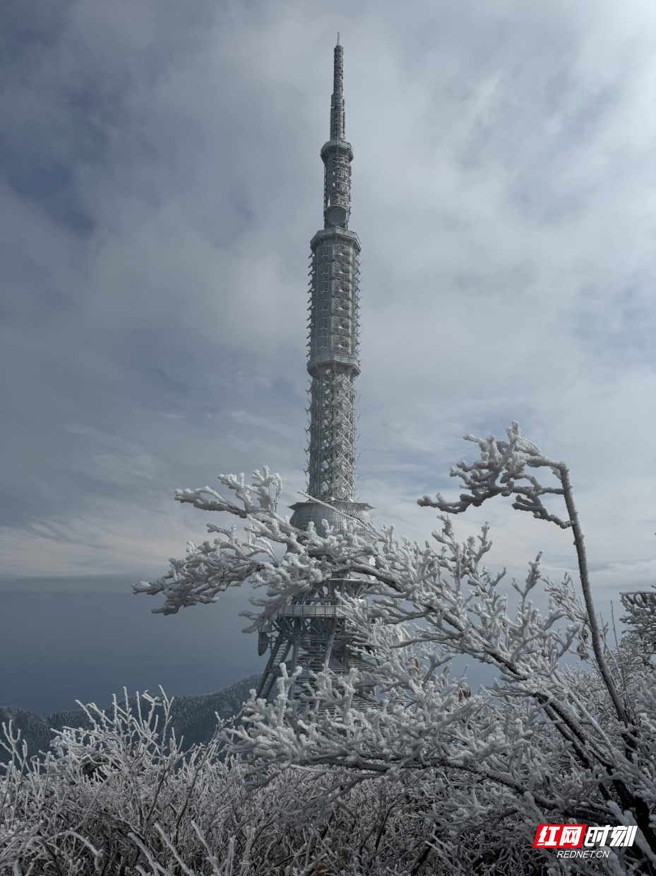 bf86613489a8d954225a686dfa55e6d0.jpg bf86613489a8d954225a686dfa55e6d0.jpg