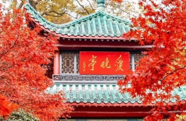 岁暖时刻丨为什么我们家三代都爱爬岳麓山？答案藏在一片红枫里