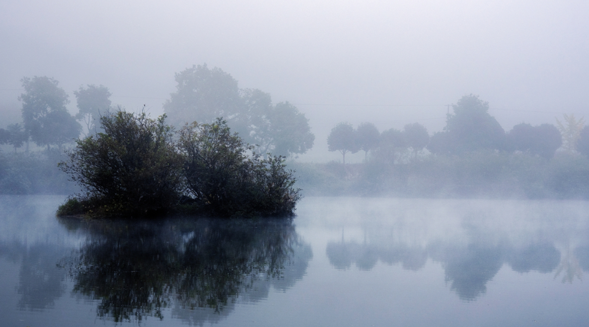 岁暖时刻｜初冬寻景×晒图解锁城市美好 网友优秀作品投票