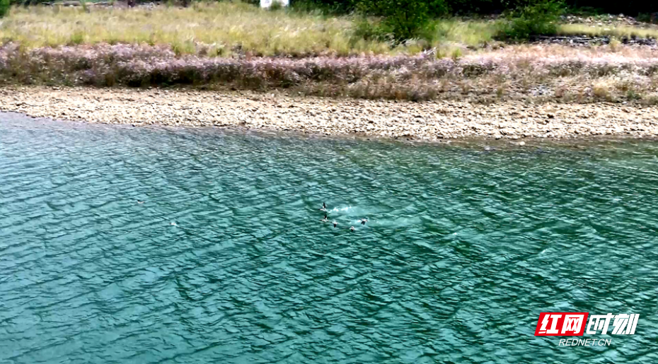 1_副本.png 1_副本.png