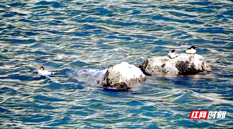 4_副本.png 4_副本.png