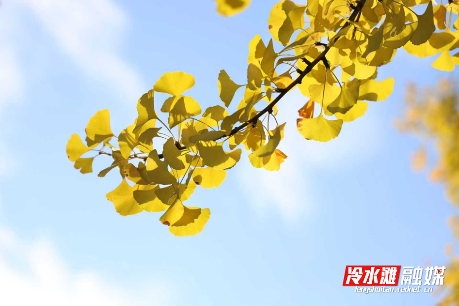 6fde5f92344cf73001839e657b50d396.jpg 6fde5f92344cf73001839e657b50d396.jpg