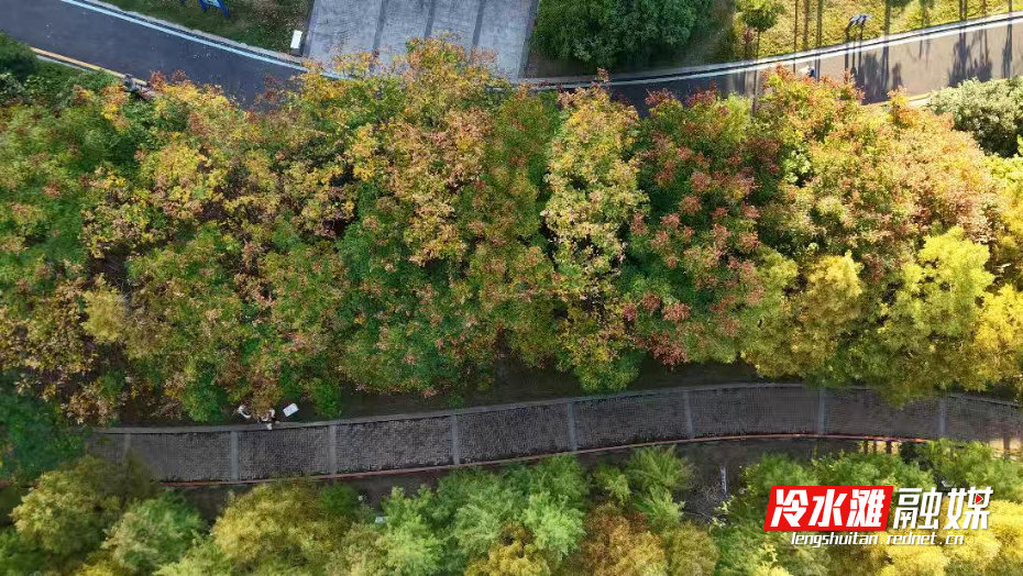 c2fcdb8f2626e81908c1d593841a2ae8.jpg c2fcdb8f2626e81908c1d593841a2ae8.jpg