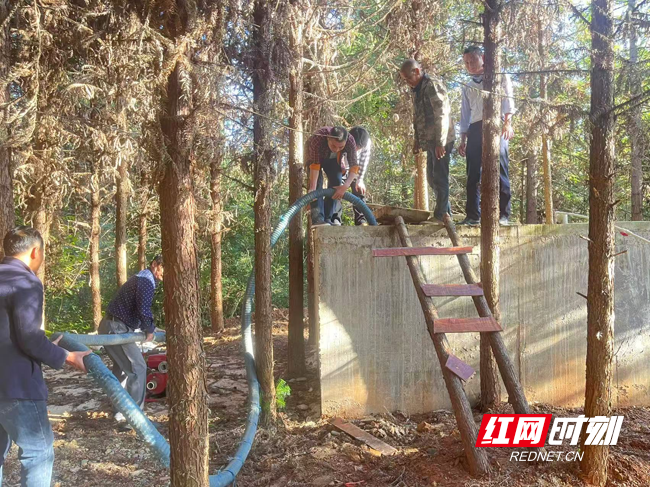 图片1.png 图片1.png