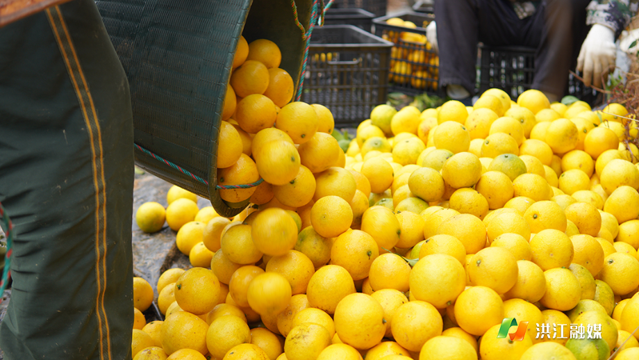 微信图片_20251117145141.jpg 微信图片_20251117145141.jpg