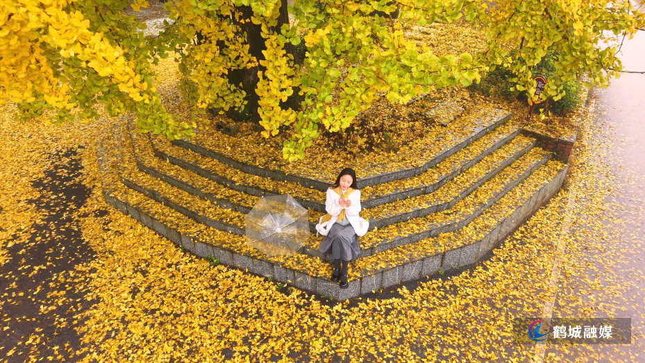 怀化市鹤城区：银杏古村焕新彩 遍地 “金装” 引客来（半成品带音乐）.mp4_20251119_153214.506.jpg