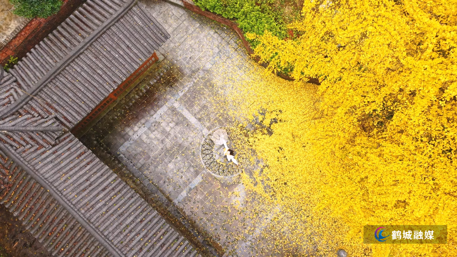 怀化市鹤城区：银杏古村焕新彩 遍地 “金装” 引客来（半成品带音乐）.mp4_20251119_153220.050.jpg