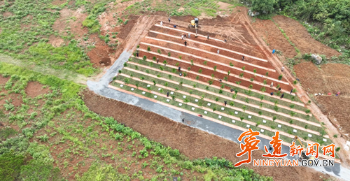 宁远舜陵街道：殡葬改革惠民生 生态安葬树新风_副本500.png