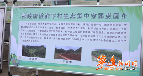 宁远舜陵街道：殡葬改革惠民生 生态安葬树新风2_副本500.png