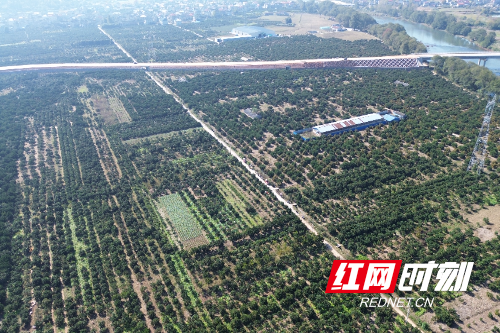 微信图片_20251119155823_721_144.jpg 微信图片_20251119155823_721_144.jpg