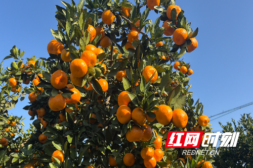 微信图片_20251119160014_724_144.jpg 微信图片_20251119160014_724_144.jpg