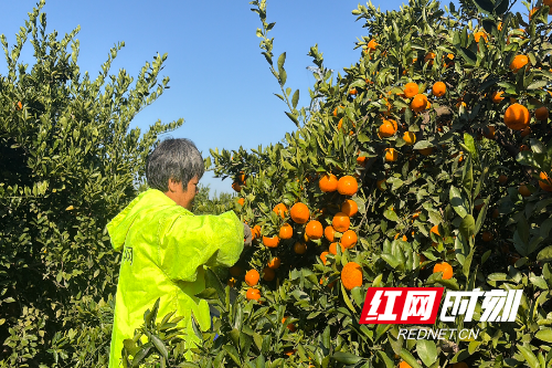 微信图片_20251119160012_723_144.jpg 微信图片_20251119160012_723_144.jpg