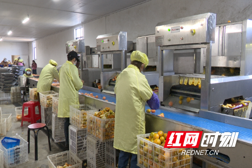 微信图片_20251119160439_726_144.png 微信图片_20251119160439_726_144.png