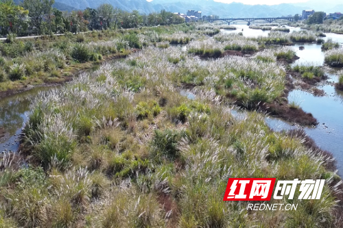 微信图片_20251119160747_727_144.png 微信图片_20251119160747_727_144.png