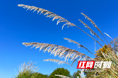 微信图片_20251119160828_141_1304.jpg 微信图片_20251119160828_141_1304.jpg