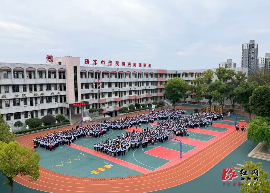 IMG_2475.jpeg IMG_2475.jpeg