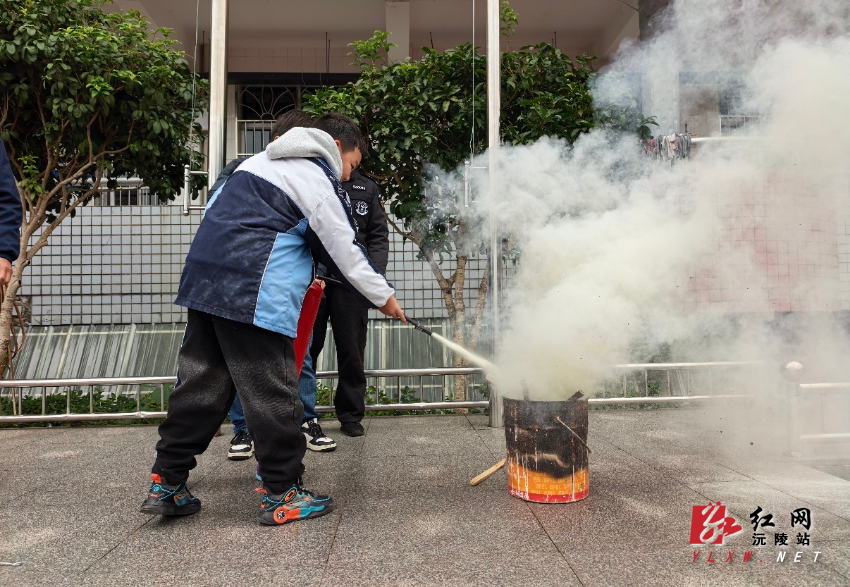 IMG_2472.jpeg IMG_2472.jpeg