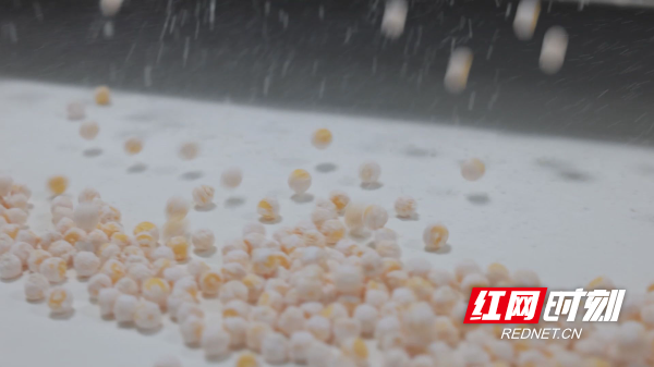 新蓝海-5.jpg 新蓝海-5.jpg