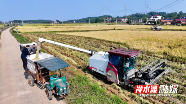 微信图片_20251120101154_54_252.jpg 微信图片_20251120101154_54_252.jpg